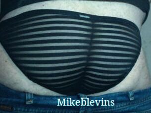 Mikeblevins