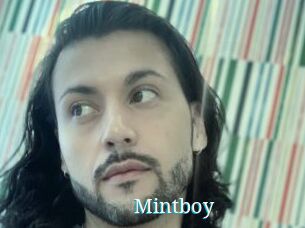 Mintboy