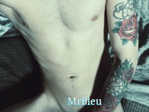 MrBleu