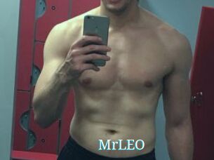 MrLEO