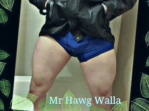Mr_Hawg_Walla
