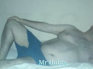 Mr_Hobbs