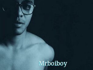 Mrboiboy