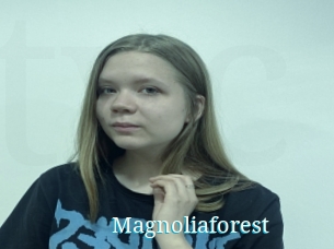 Magnoliaforest