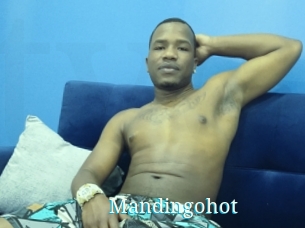 Mandingohot