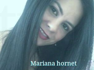 Mariana_hornet