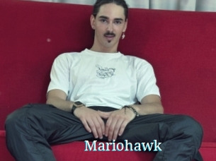 Mariohawk