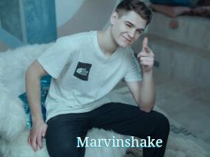 Marvinshake