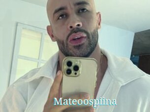 Mateoospiina