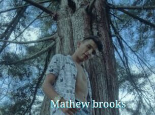 Mathew_brooks