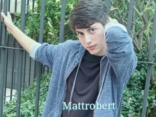 Mattrobert