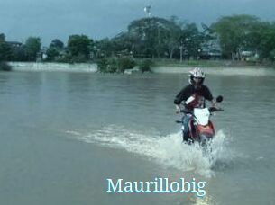 Maurillobig