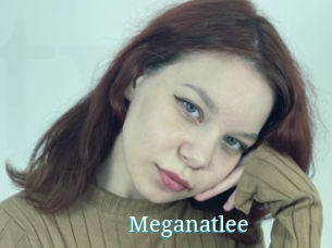 Meganatlee