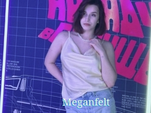 Meganfelt