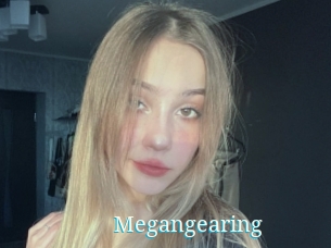 Megangearing