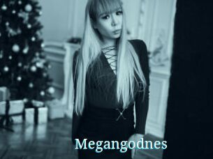 Megangodnes