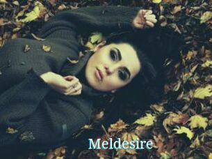 Meldesire