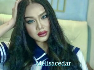 Melisacedar