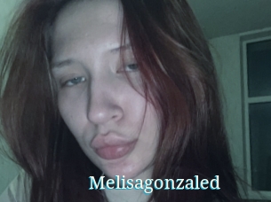 Melisagonzaled