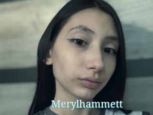 Merylhammett