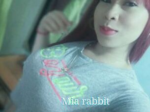 Mia_rabbit