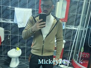 Mickey24