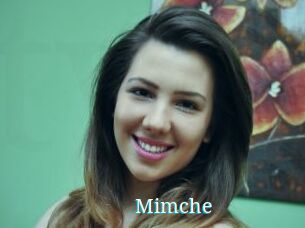 Mimche