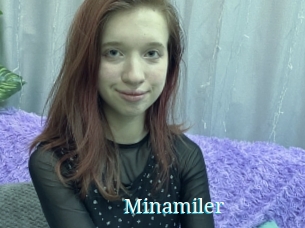 Minamiler