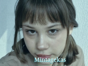 mintagekas The voyeurs club