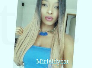 Mirleidycat
