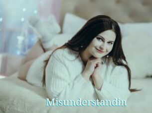 Misunderstandin