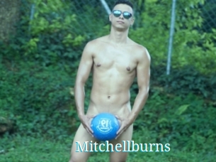 Mitchellburns