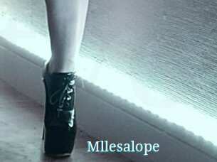 Mllesalope