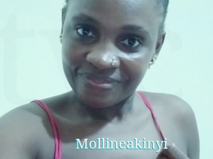 Mollineakinyi
