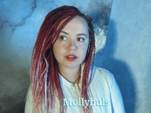 Mollybuls