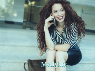 Mollykat