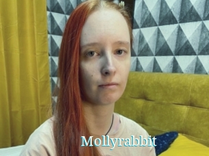 Mollyrabbit