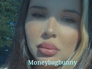 Moneybagbunny