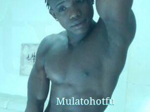 Mulatohotfu