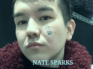NATE_SPARKS