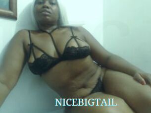NICEBIGTAIL