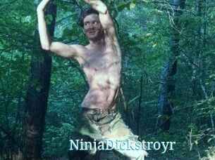 NinjaDickstroyr