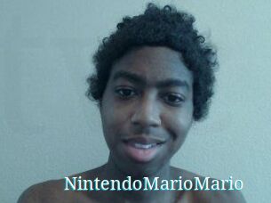 NintendoMarioMario