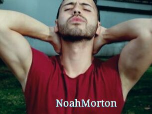 NoahMorton