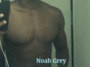 Noah_Grey