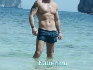 Nattenino