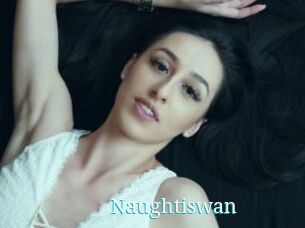 Naughtiswan