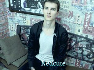 Nedcute