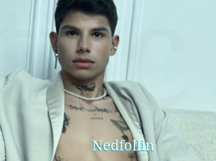 Nedfollin