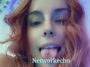 Networkecho
